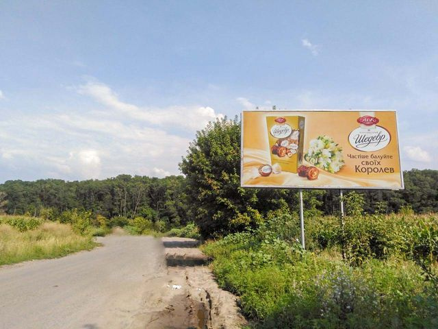 Щит 6x3,  пгт Днепровское, въезд в город с трассы