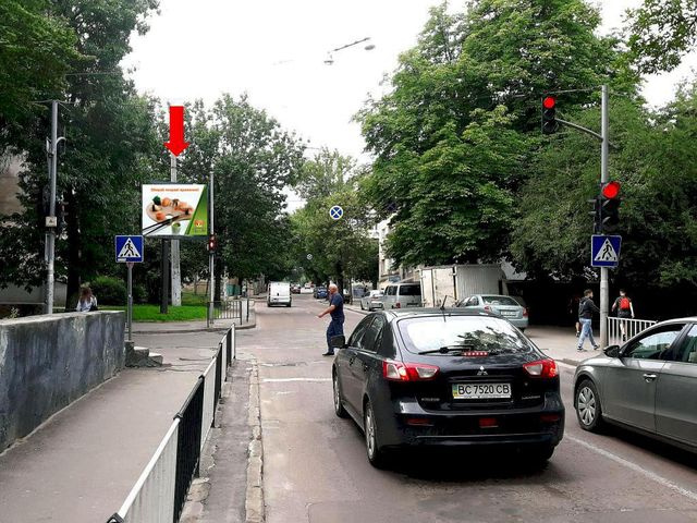 Скролл 3.14x2.3,  Героев УПА ул. / Васильковского ул., светофор, из центра