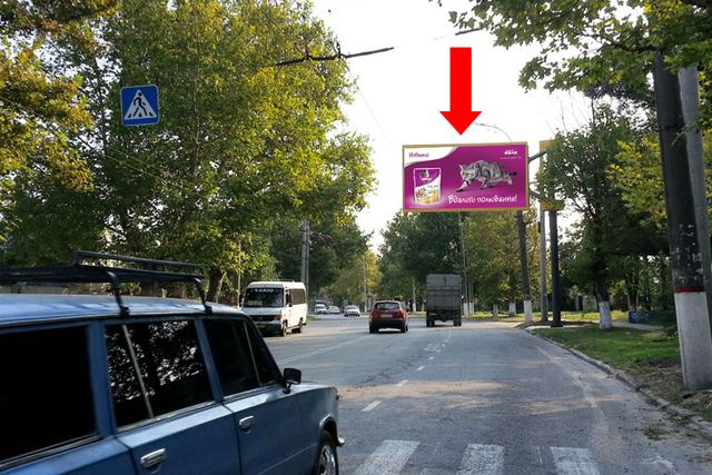 Щит 6x3,  Кулика ул. / Ингульский пер., гусь, над дорогой
