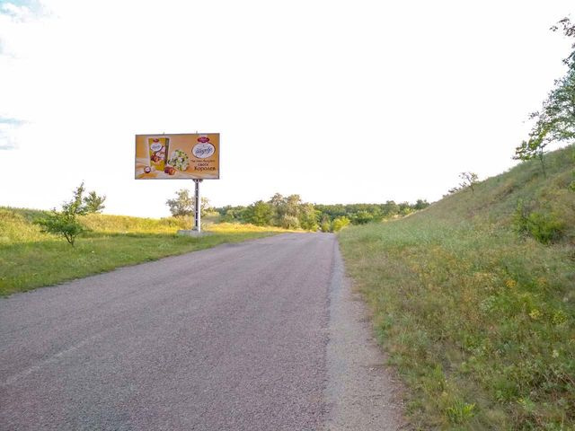 Щит 6x3,  пгт Новониколаевка, выезд на Сурско-Литовское