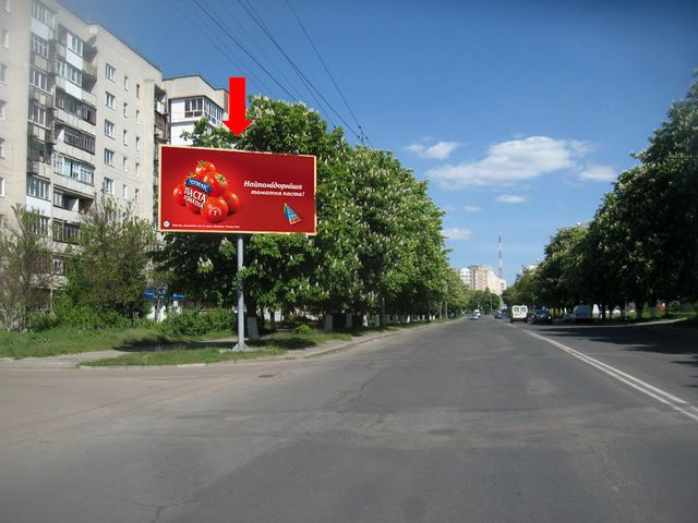 Щит 6x3,  Возрождения ул., 41, в сторону Соборности пр.
