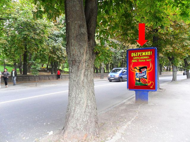 Сітілайт 1.2x1.8,  Черновола ул., 40 / Лермонтовская ул., напротив парка им. Шевченко