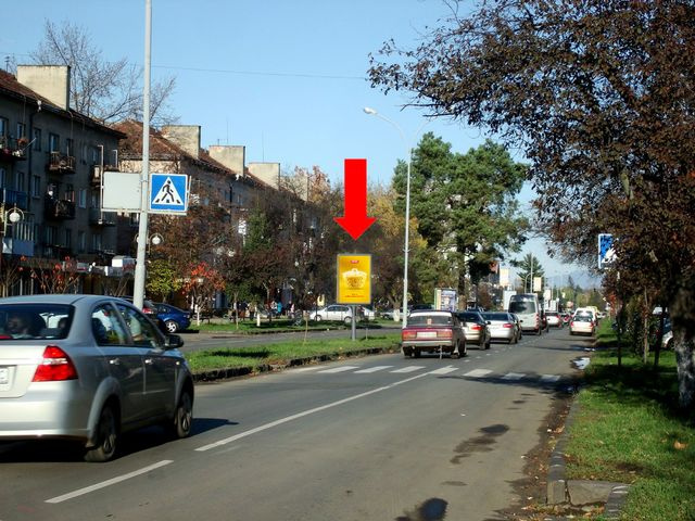 Сітілайт 1.2x1.8,  Свободы пр., 32, разделитель, в сторону пл. Б. Хмельницкого