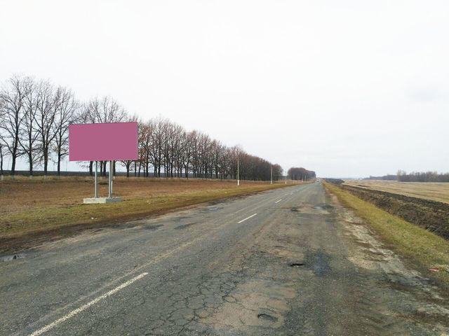 Щит 6x3,  Автодорога Сумы-Богодухов (Р-45), 45 км-700 влево, пгт Краснополье