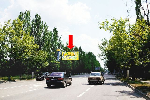 Щит 6x3,  Николаевское шоссе, возле отеля "Нон-Стоп", гусь, над дорогой, в центр